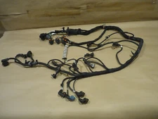 Ferrari 430 - RH Side Fuel Injection Connecting Cables - P/N 209438