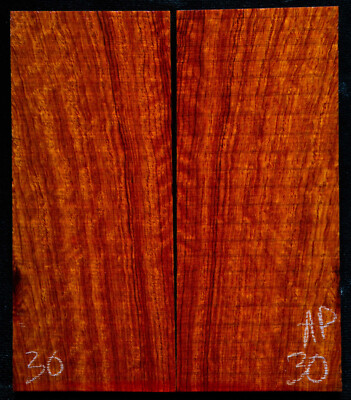 Andaman Padauk #30 Knife Scales 5''x 2.1''x 5/16''see 100 woods in my store