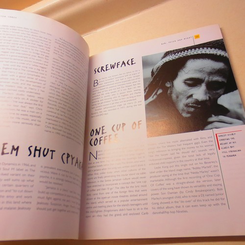 Soul Suvivor Bob Marley Song 1962 - 1981 by Maureen Sheridan - Picture 5 of 6