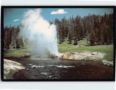 #ad Postcard Riverside Geyser Yellowstone Park Wyoming USA $3.46