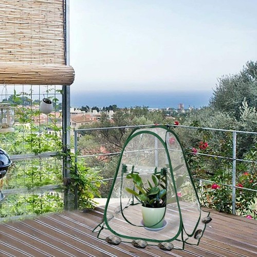 Transparent Up Greenhouse Cover for Easy Plant Monitoring and Insulation - Picture 5 of 11
