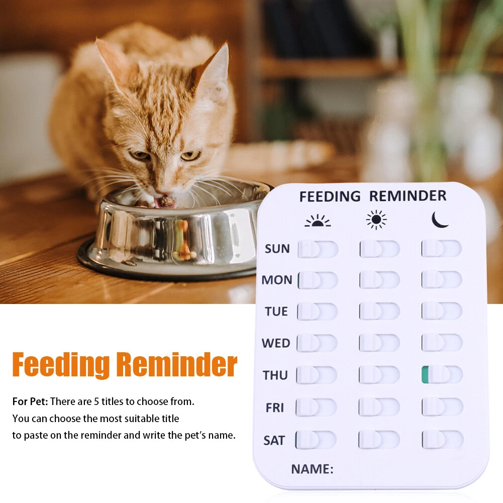 Cat feeding reminder cheap