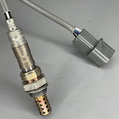 その他 syoyo All Item | エブリデイ Z/X Life!
