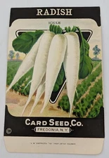 Vintage Radish Seed Packet - Card Seed Co Fredonia NY - White Icicle NOS