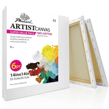 Stretched Canvas for Painting 14x14 Inch/6 Value Pack, 8 Oz Triple Primed 5/8...