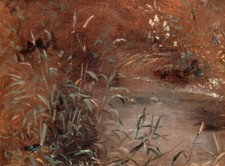 Pintura al óleo Rushes-by-a-Pool-John-Constable-Oleo-Campo de pintura lienzo paisaje