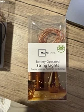 Mainstays 6' Battery String Lights 18 lights Copper Wire