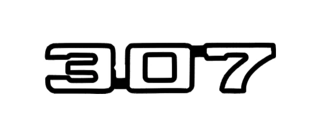 Par - 2 Colores 307 Calcomanía Emblema 5.0L V8 GM Chevy GMC Pontiac Oldsmobile Foto 2 de 4