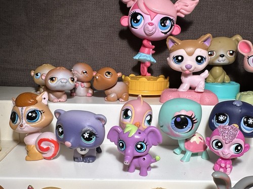 Grande lotto Littlest Pet Shop 71 figurine LPS gatto cane coniglietto uccellino pesce + accessori - Foto 10 di 22
