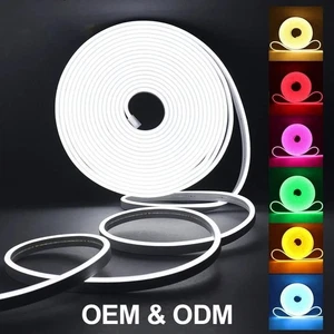 Neon LED Strip 5M RGB Dimmable