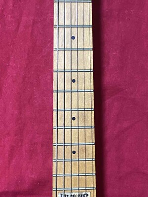 ギター Edwards E-D-TE Edwards by ESP E-D-TE DIR EN GREY Built in AMP Black Mini
