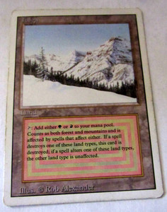 Magic The Gathering Taiga | eBay
