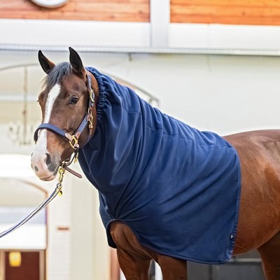 EQuest Fleece Halsteil für Pferdedecken, Navy - S/M Wärme Deckenergänzung Schutz