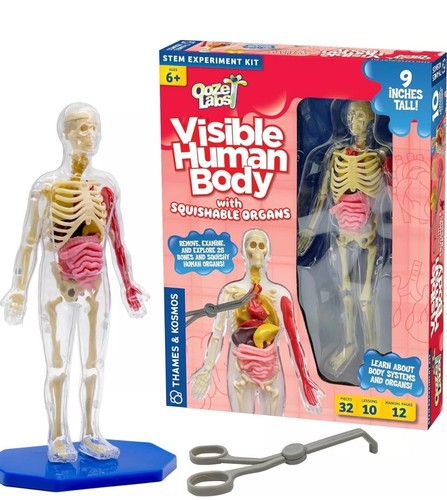Thames & Kosmos Ooze Labs Visible Human Body w/Squishable Organs Science Kit B10