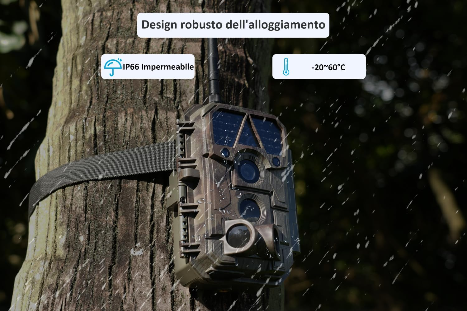 Foto 8 di 12