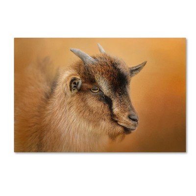 ALI14400-C2232GG Canvas Art, 22x32