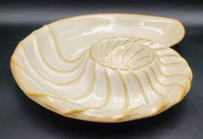 16" Tan Nautilus Sonoma Figural Seaside Shell Chips & Dip Serving Plate Platter