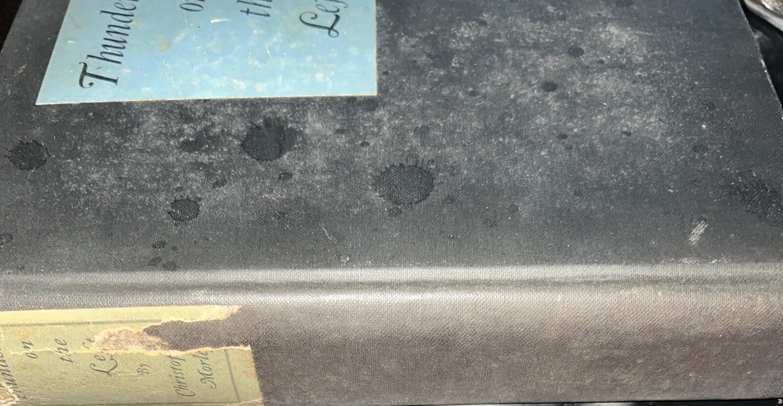 Picture 9 of 9