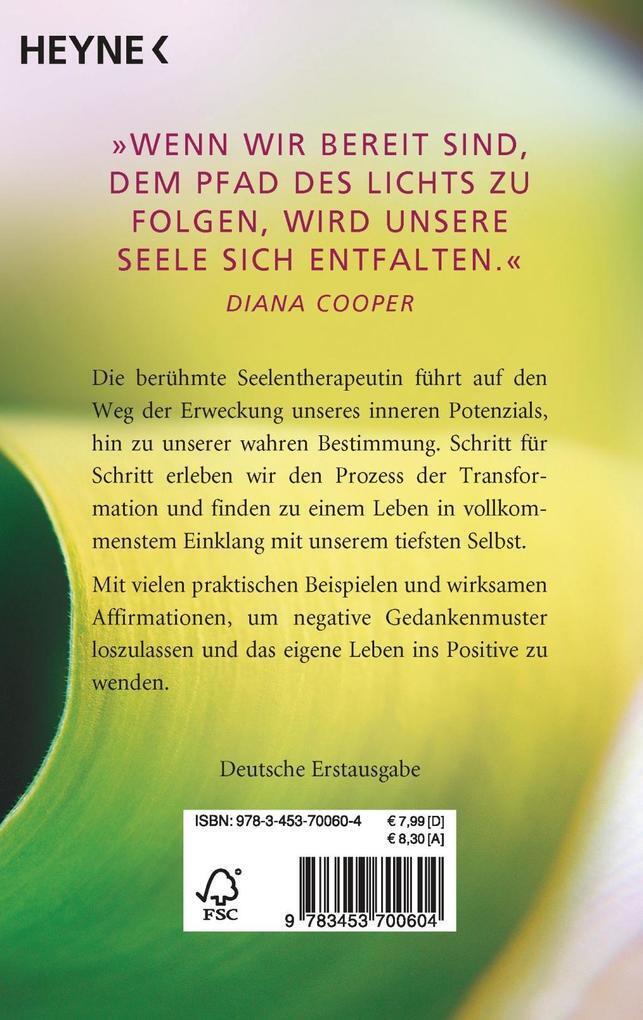 Thumbnail - Begegne Deiner Seele | Diana Cooper | 2007 | Deutsch | A Time For