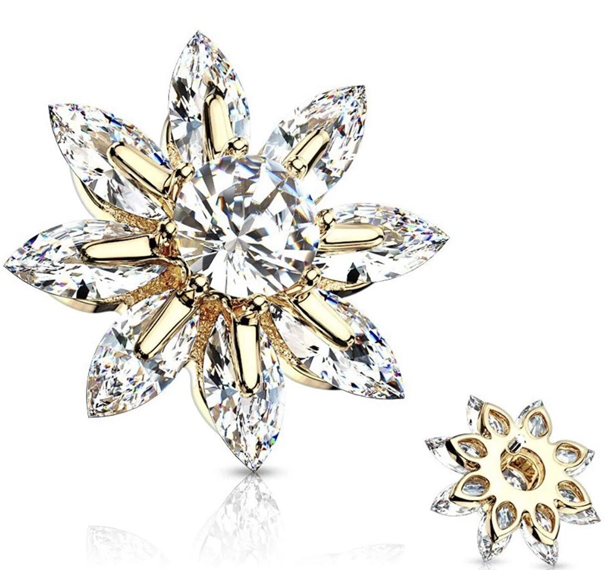Large cheap dermal tops