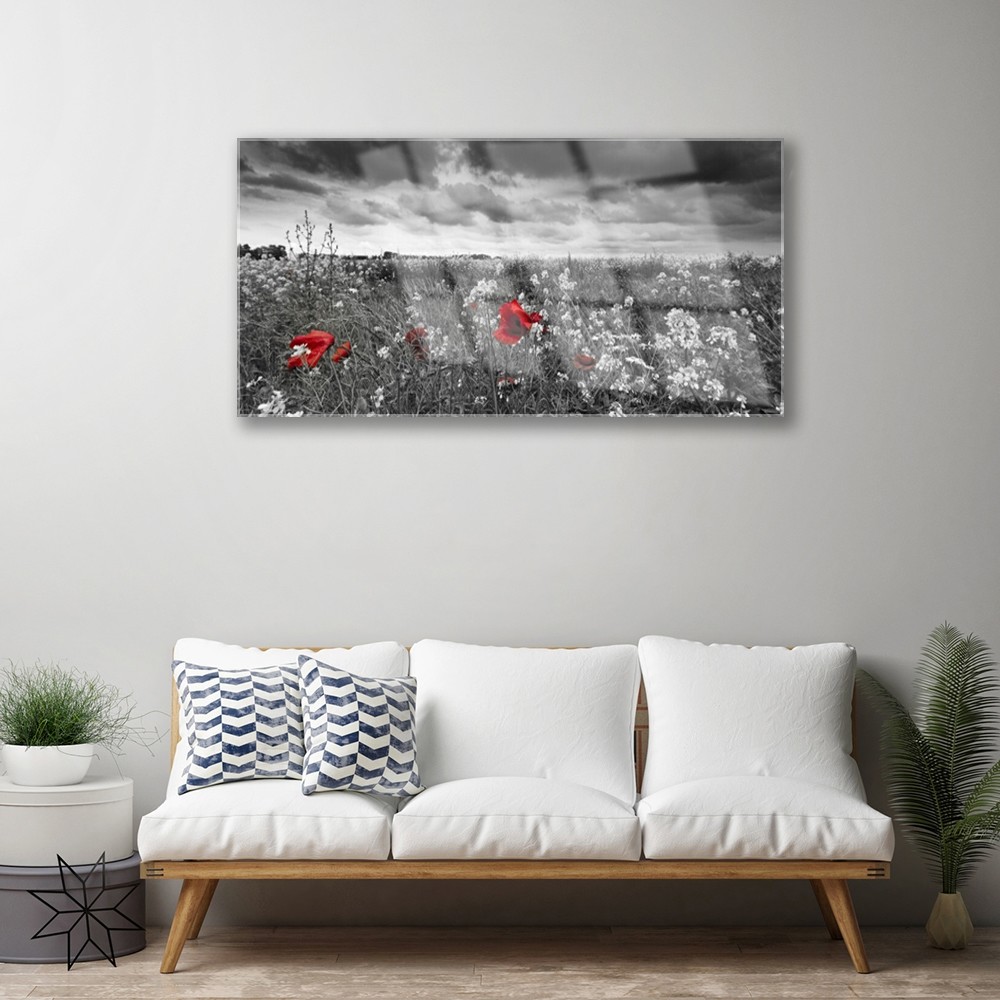Tableau sur Plexiglas 100x50 cm image impression nature fleurs prairie décoration murale moderne - 2