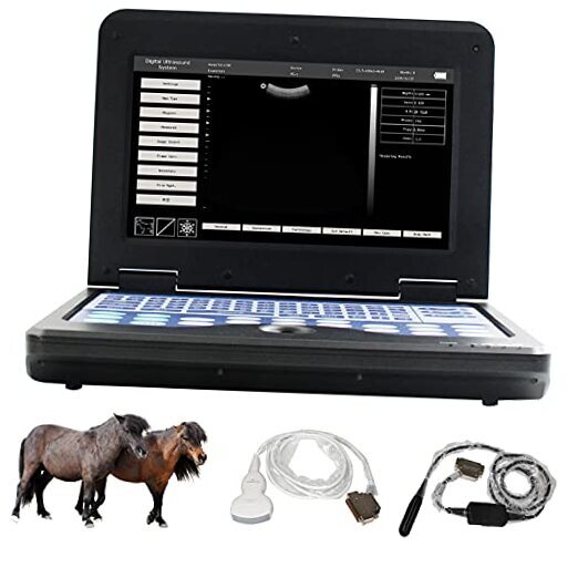  USA Veterinary Laptop Machine Ultrasound Scanner convex & rectal linear probe