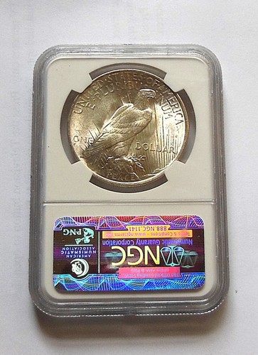 Peace Starter Set MS64 NGC Peace Silver Dollar $1 - 1922, 1923, 1924, 1925 - Picture 7 of 11