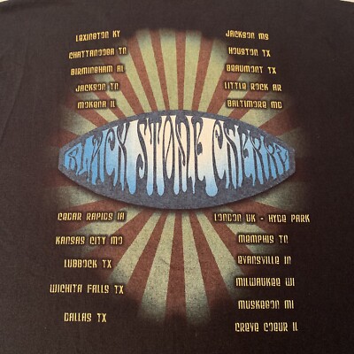 Vintage Black Stone Cherry Rock Band T Shirt Size Medium Heavy Metal