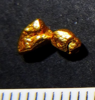 XXL - GOLDNUGGET 7,2mm Goldnuggets Nugget Barren Gold Nuggets Münze -- Ostern 26