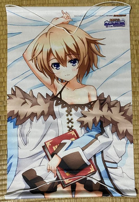 Japanese anime Hyperdimension Neptunia Tapestry Blanc 01