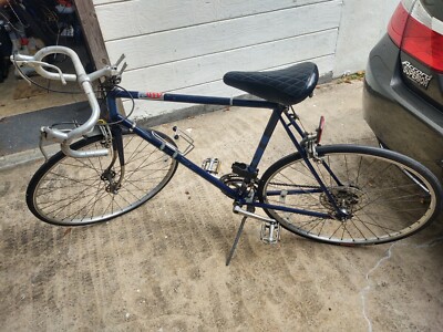 Raleigh Sun Tour Sakae custom bike - 1990's model | eBay