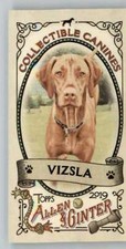 2019 Allen and Ginter Collectible Canines Mini #CC-3 Vizsla