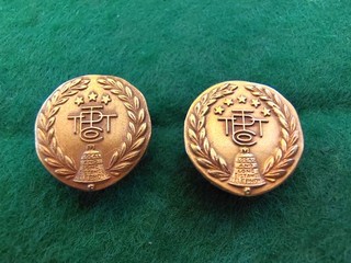 Telefono Pacifico (PacTel) spille da bavero in oro 14K di servizio