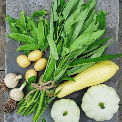 1kg(2.2 Pounds)-Hạt giống rau muống lá tre Rạng Đông