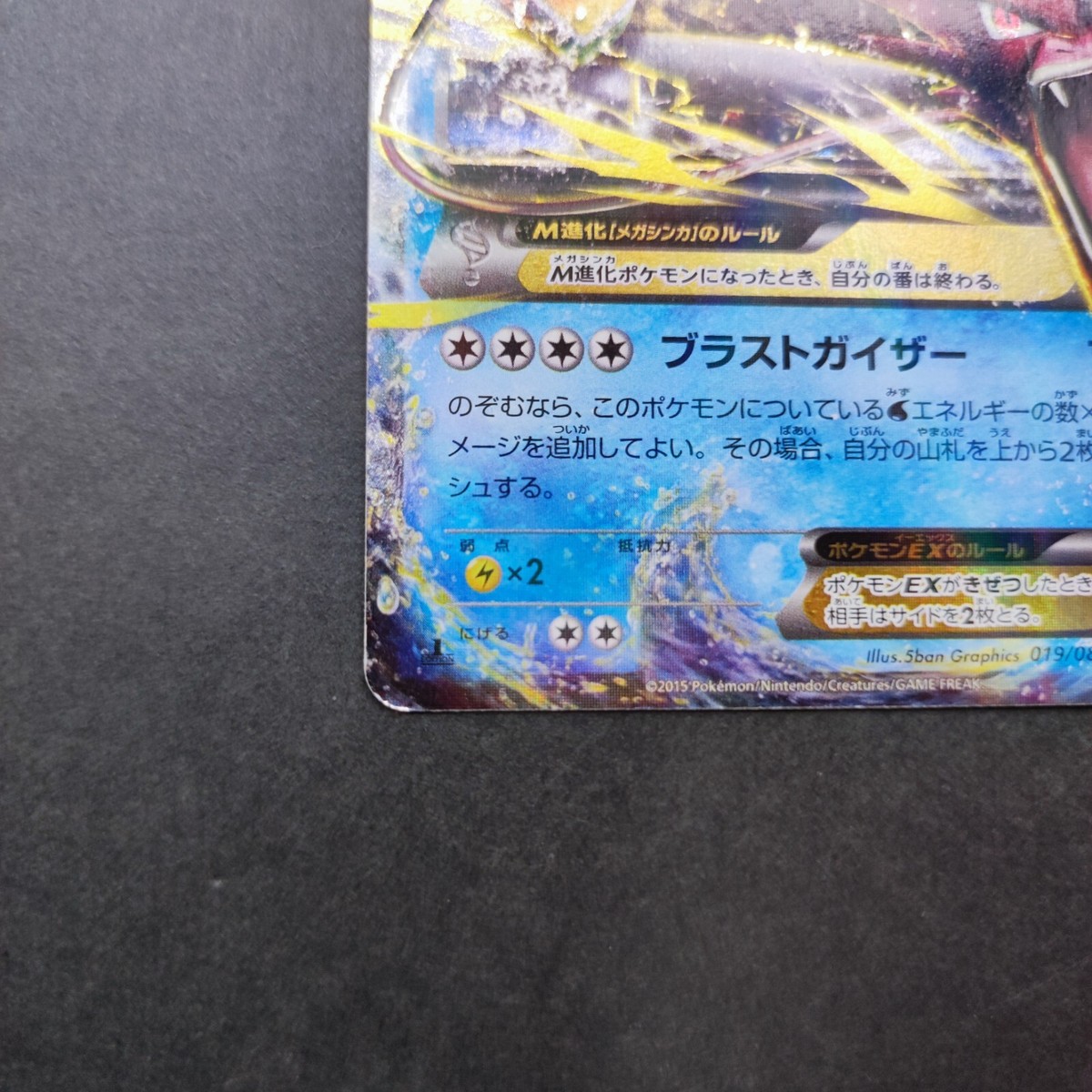 M Gyarados EX Pokemon Card 019/080 RR XY9 Very Rare Holo Nintendo