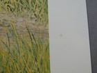 Bild 10 von 10