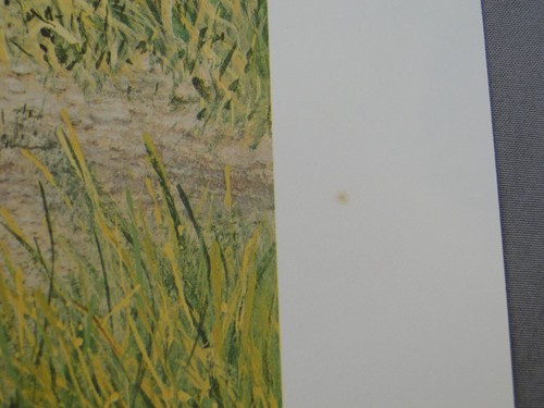 Charles Frace Zebra Foal Signed Lithograph 1975 Limited Edition - Picture 10 of 10