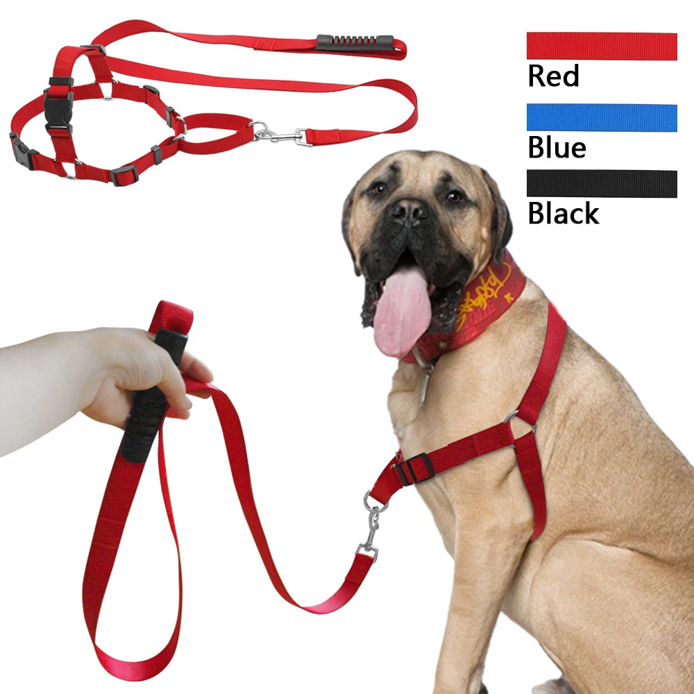 No choke dog leash sale
