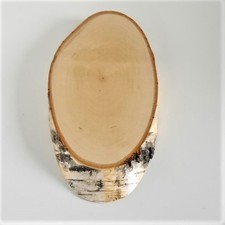 Birke Schild Troph&auml;enschild Reh Rehbock Geweih Baumscheibe Baumschild Natur Holz