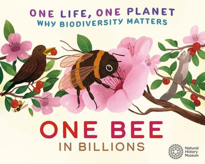 Sarah Ridley | One Life, One Planet: One Bee in Billions | Taschenbuch (2024)