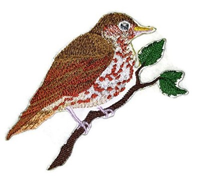 Nature Weaved in Threads, Amazing Birds Kingdom [Single Wood Thrush Bird ] [Cust