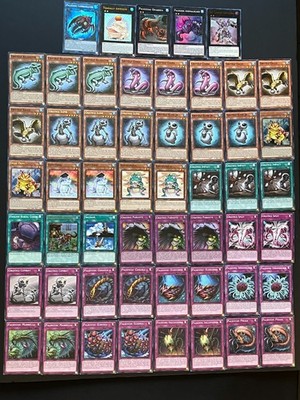 YUGIOH GRAYDLE DECK- PALEOZOIC- SLIME- ALLIGATOR- FROG- MARELLA- PARASITE NM