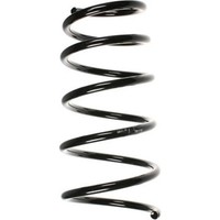 Spidan 55072 Fahrwerksfeder FüR Renault Megane Scenic BA0 1 DA0 1 JA0 1 FA0