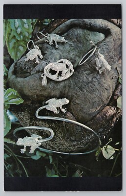 Coqui Tiny Tree Frog in Puerto Rico Silver Jewelry Old San Juan PR 1970 Postcard