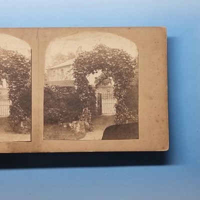 Unbekannter Ort Stereoview um 1870 Echtfoto Studie eines Gartens Gusseisen Tor