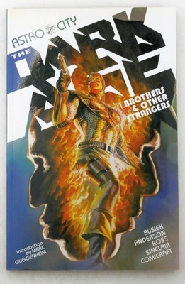 Astro City: The Dark Age Book One SC - Busiek, Kurt WildStorm paperback Book