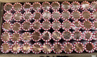 2025 P Lincoln Penny 1 Roll (50 coins) Uncirculated Free Shipping🔥