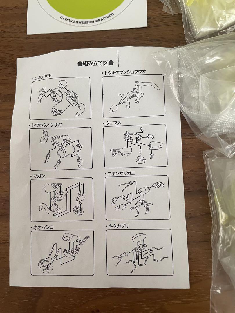 Kaiyodo Capsule Q Museum Japanese Animals Novelty Clear eBay