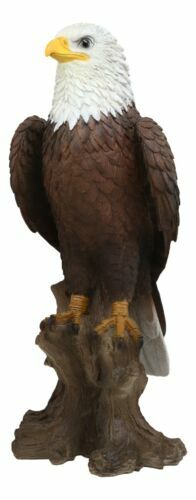 EBROS Large American Bald Eagle Perching on Tree Stump Statue 15.25"H - Picture 3 of 9