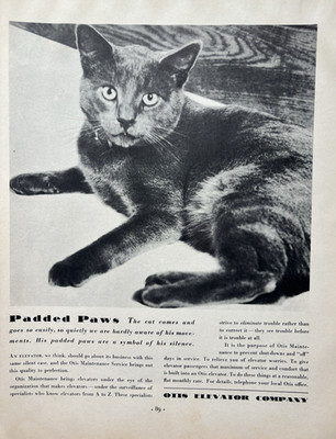 1933 Otis Elevator Company Padded Paws Cat Maintenance Service Vintage Print Ad